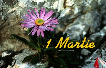 1 Martie