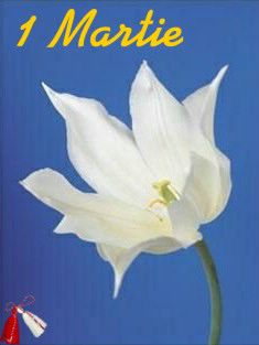 1 March