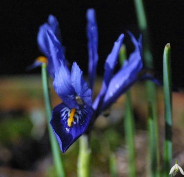 1 March