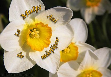 1 March