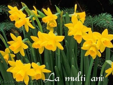 1 March