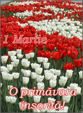 O Primavara Insorita