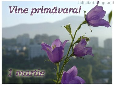 1 March