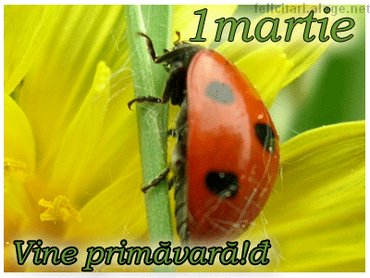 Vine Primavara