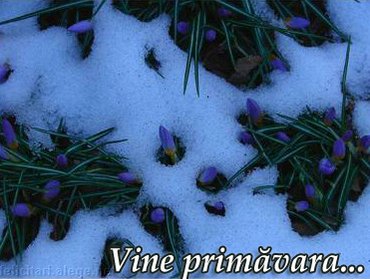 Vine Primavara