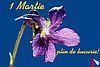 1 Martie  plin de bucurie!