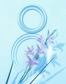 8 Martie