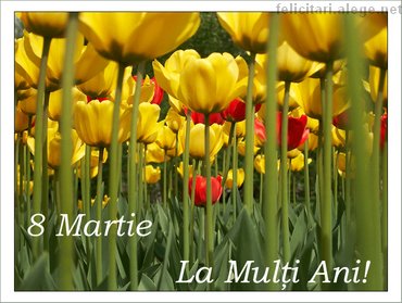 8 March