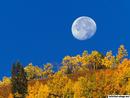 Moon Setting At First Light Crested Butte Colorado